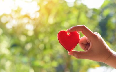 Building a Legacy Beyond Profits Through Corporate Philanthropy